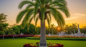 Royal Palm Tree